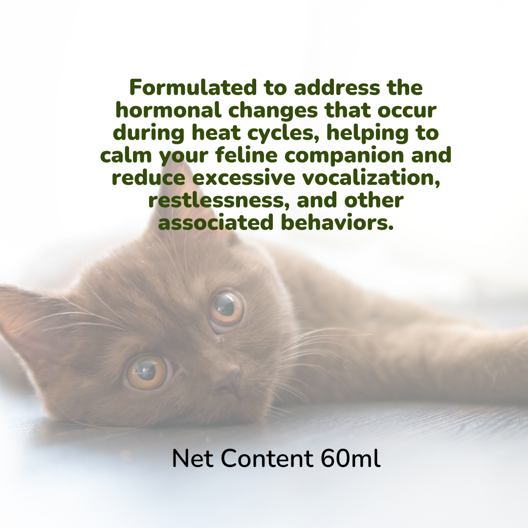 PAWSONA® Anti On Heat Bundle Deal