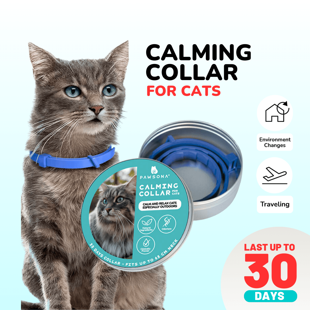 Anxiety Cat Pheromone Collar Cat Calming Collar – Reduce Stress