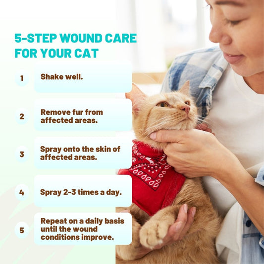 Anti-bacterial Wound Spray for Cats - Pawsona Cat Supplies