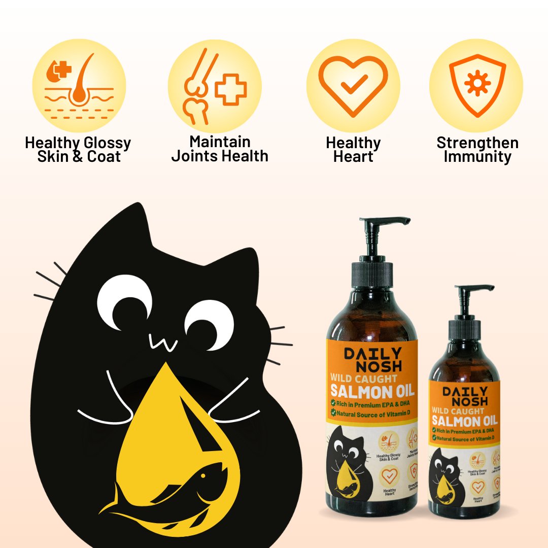 Daily Nosh Salmon Fish Oil - Pawsona Cat Supplements alaskan salmon oil cat booster cat fish oil