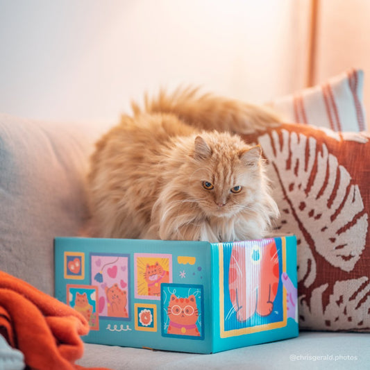 [Pawsona x Secondfloorneko] Pawsome Life Cat Scratching Box - Pawsona Cat Scratching Box cat box cat scratcher