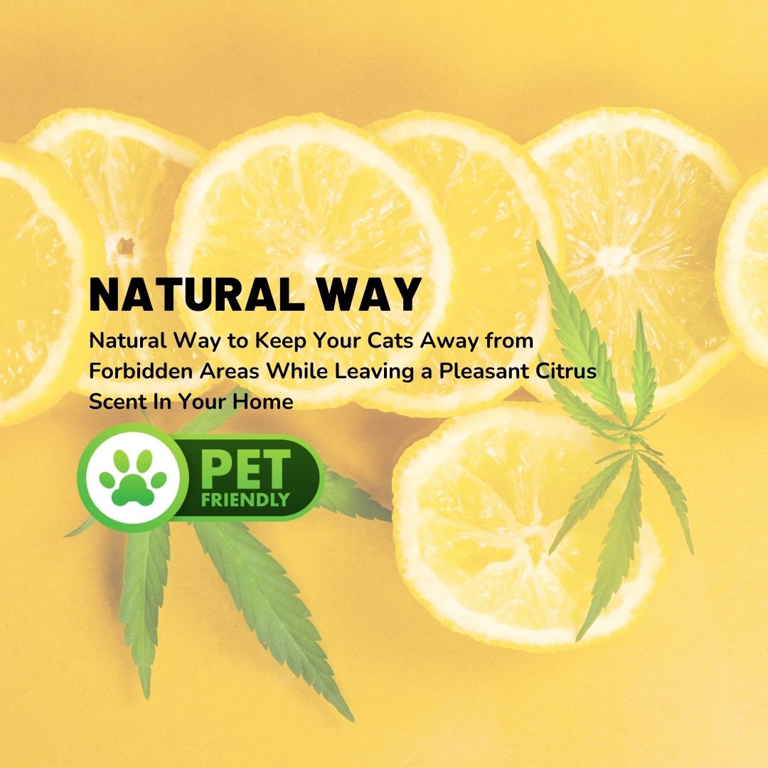 Pet Repellent Spray for Cats - Pawsona Cat Supplies anti-cat spray cat repellent cat training spray