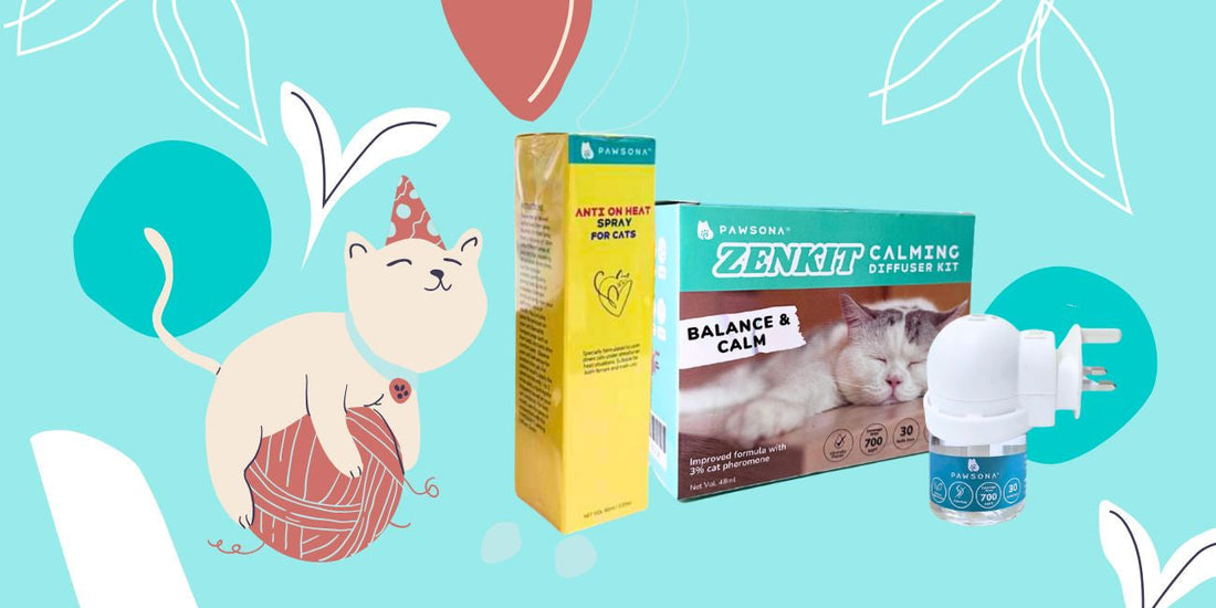 Cat Calming Diffuser Malaysia