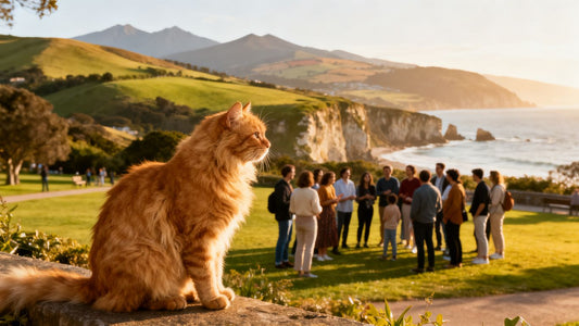 Orange cat sits before people in a sunny park