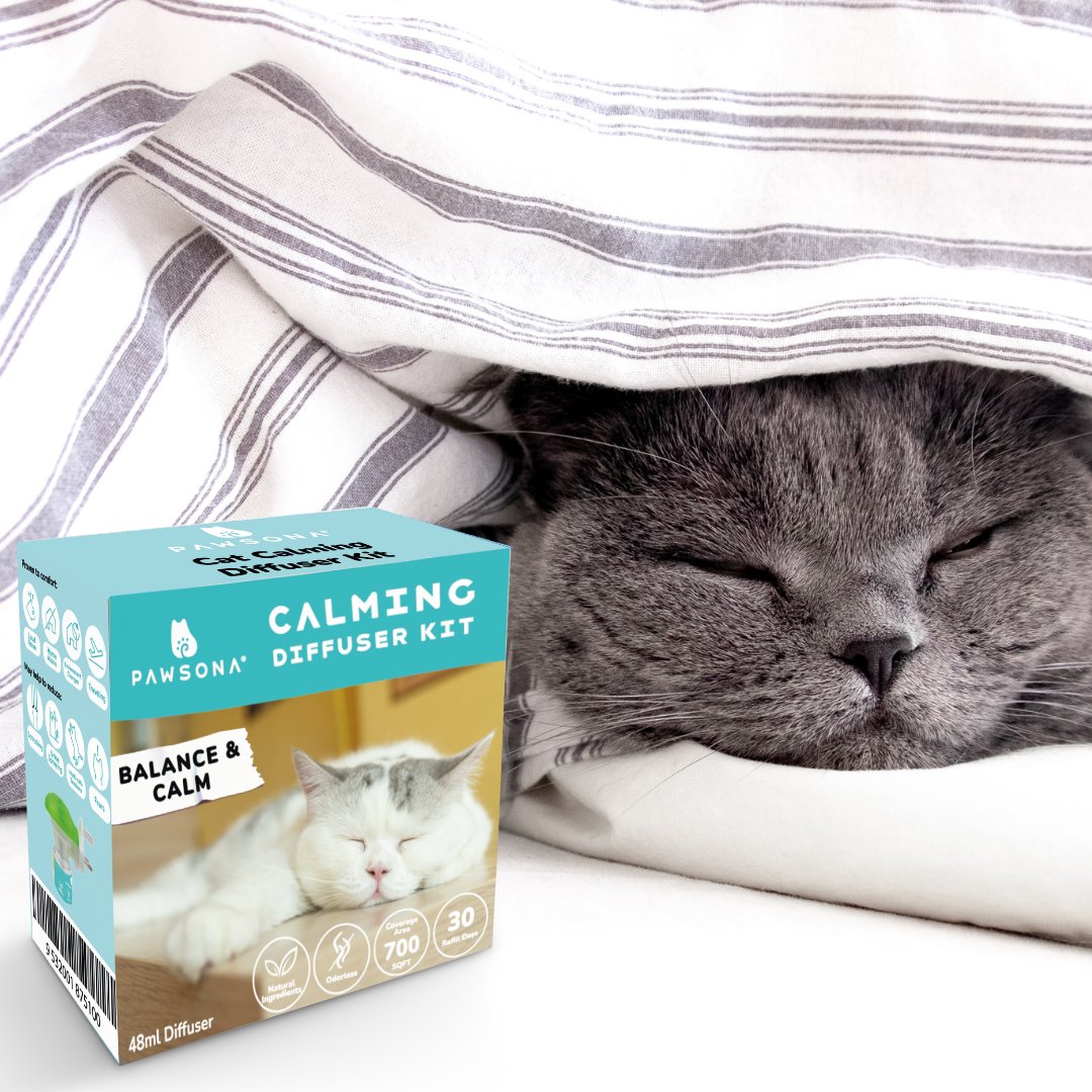 Buy Cat Pheromone Products for Cat Stress Relief malaysia | Pawsona