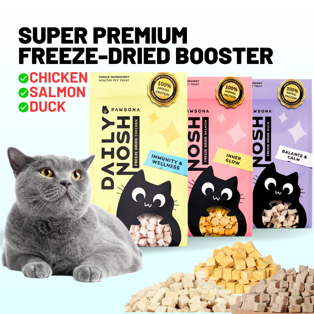 buy zenkit calming diffuser singapore