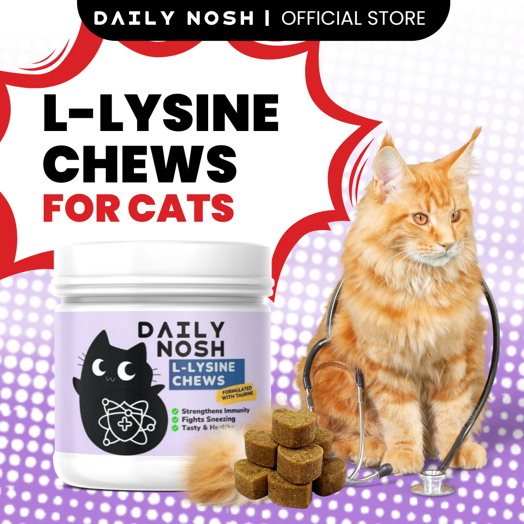 Daily Nosh L-lysine Supplement for Cats