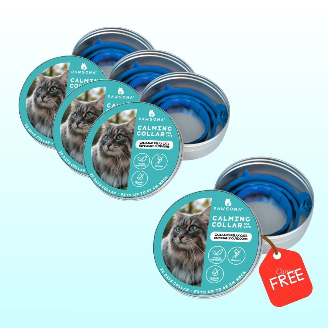 Cat Calming Collar - Pawsona Cat Calming Series anxiety relief cat anxious cats calming collar for cats