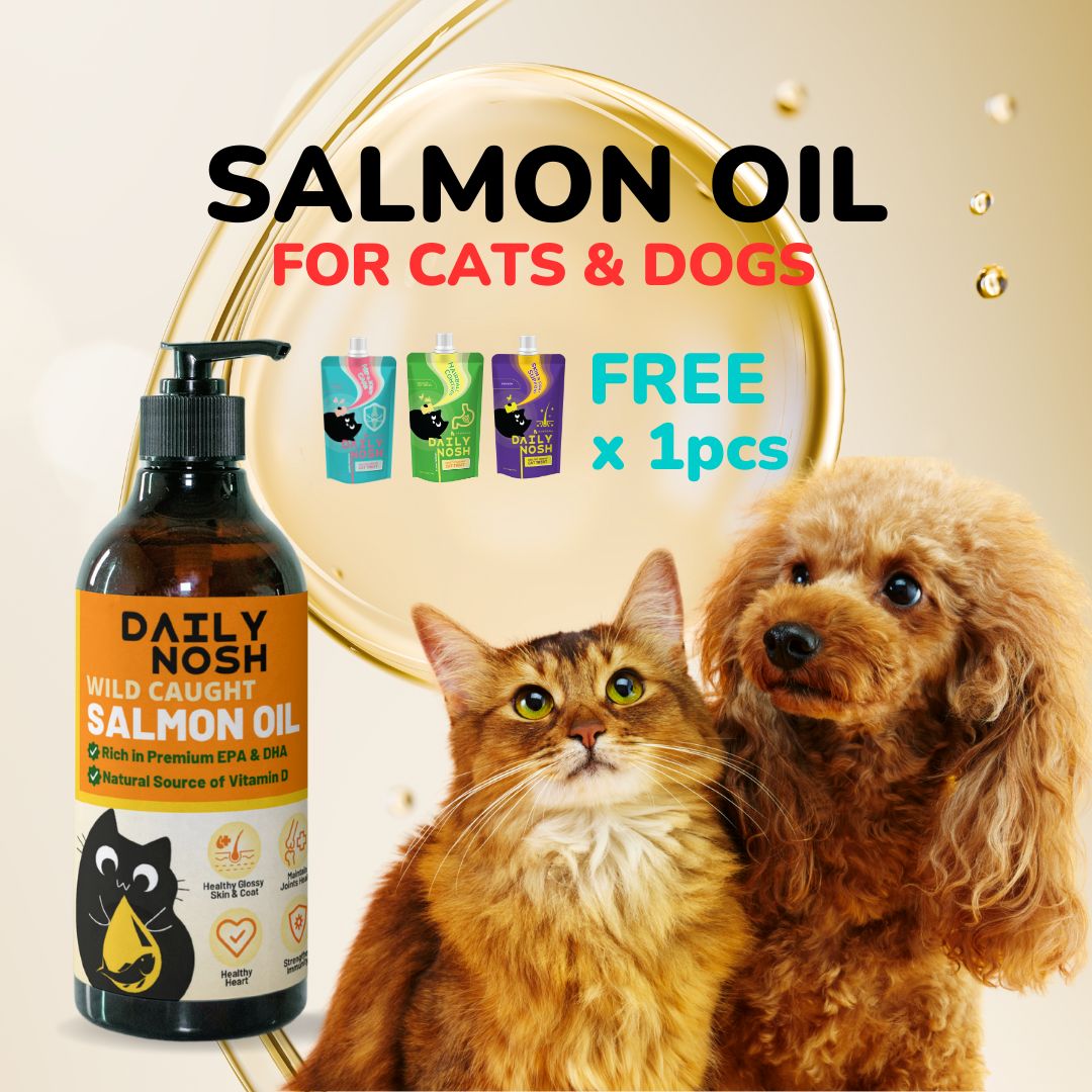 Daily Nosh Salmon Oil for Pets - Pawsona Cat Supplements alaskan salmon oil cat booster cat fish oil