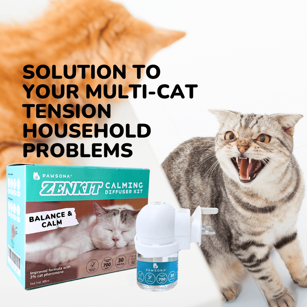 Stress Relief Cat Apparel Reference: Buy Cat Pheromone Products For Cat Stress Relief Malaysia