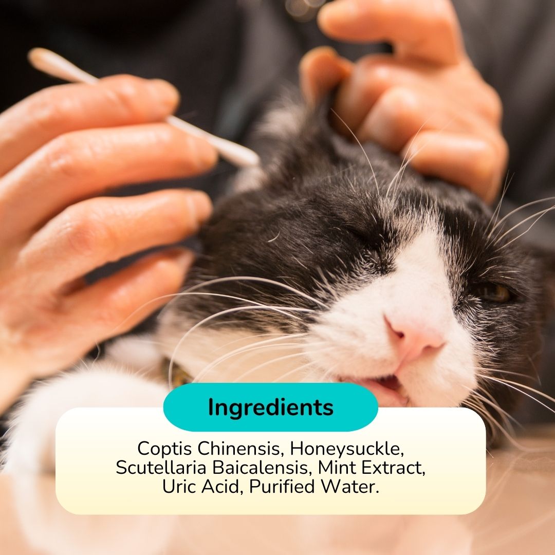 Anti-bacterial Ear Cleaner for Cats - Pawsona Cat Supplies anti bacterial ear cleaner for cat cat ear cleaer ear care for cat