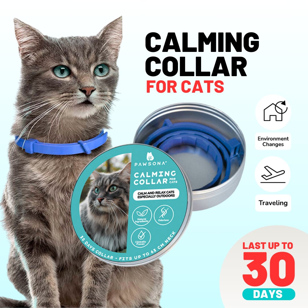 Illustration of Cat Calming Devices Neckbands For Anxiety