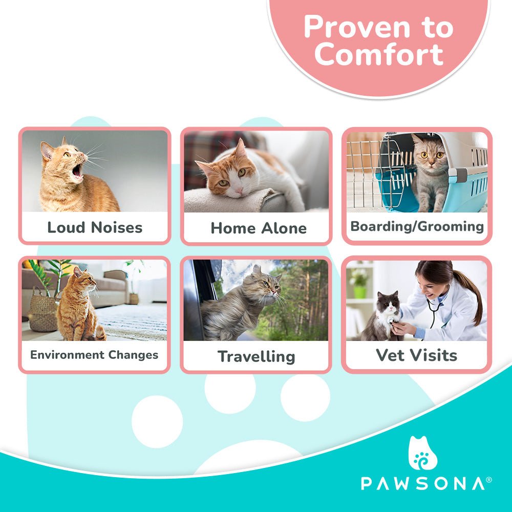 Cat Pheromone Calming Diffuser Kit 48ml - Pawsona Cat Calming Series anxiety relief cat cat stress pheromone