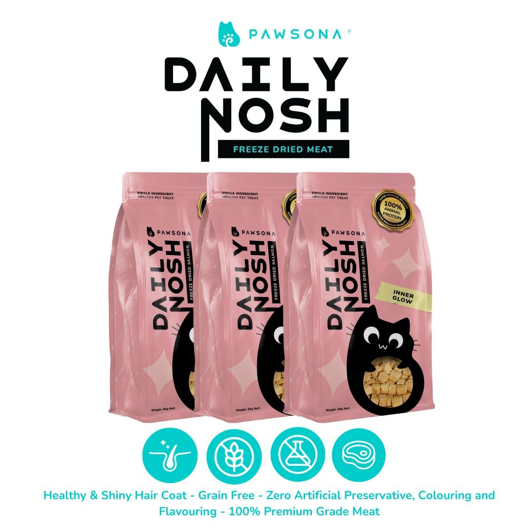 Daily Nosh Freeze-Dried Salmon - Pawsona Cat Boosters cat booster cat fish oil cat protein