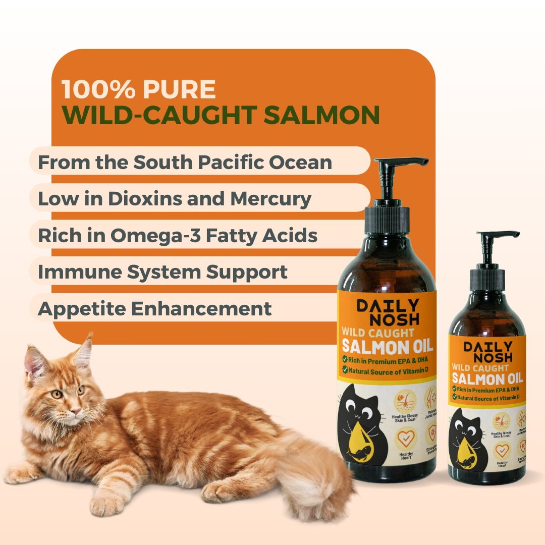 Best salmon store oil for cats