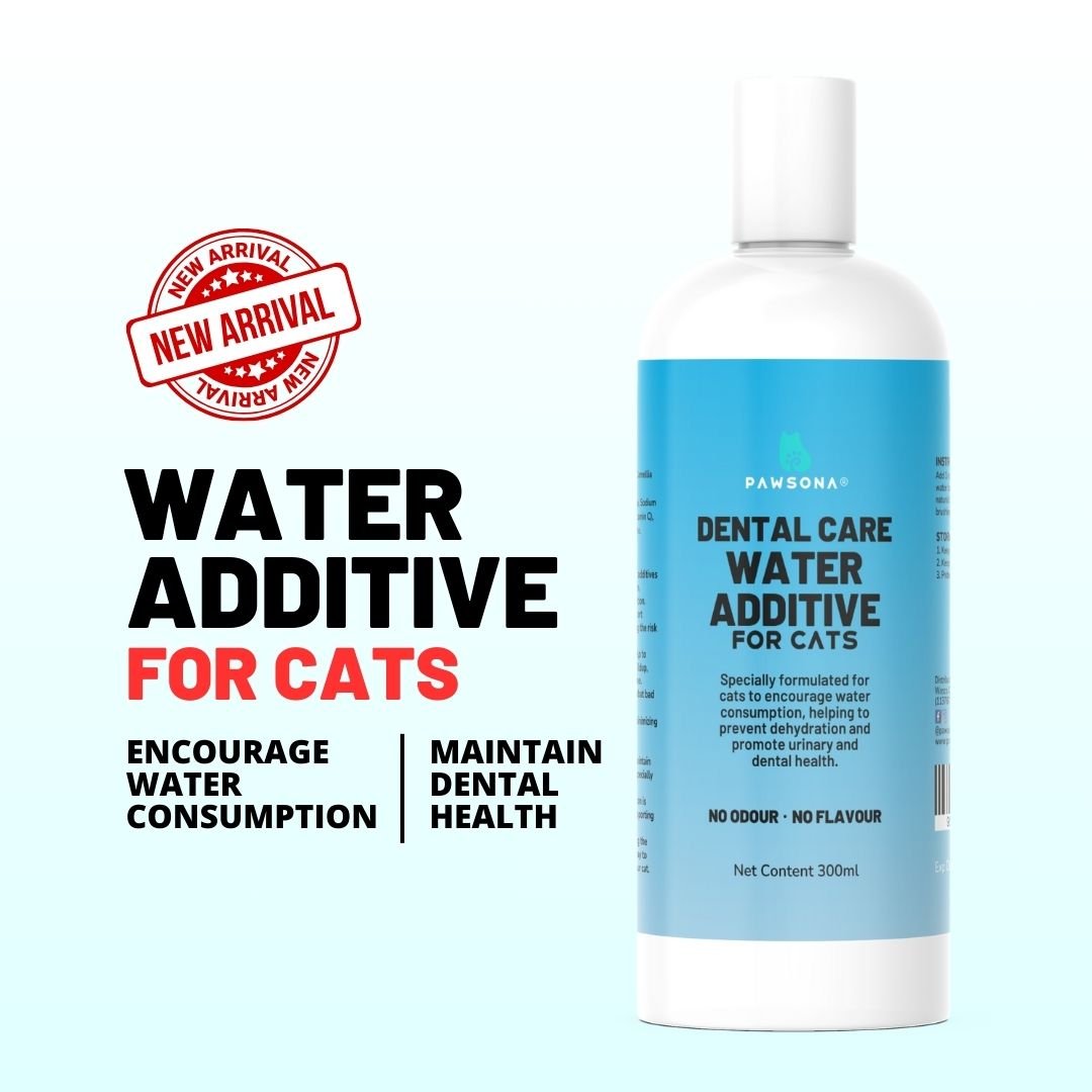 Dental Care Water Additive for Cats - Pawsona Cat Supplements cat breath cat oral care cat supplement