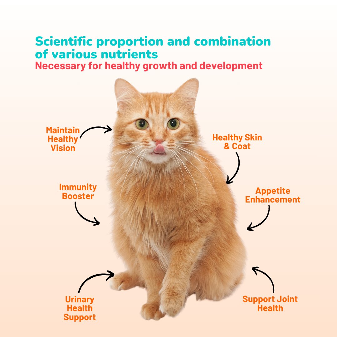 Mix 5 Daily Nosh Cat Supplements Bundle - Pawsona Cat Supplements cat supplement cat treat fluffy hair cat